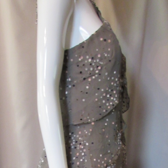 Silk Evening Gown in Chiffon Cameron Blake - Picture 5 of 7